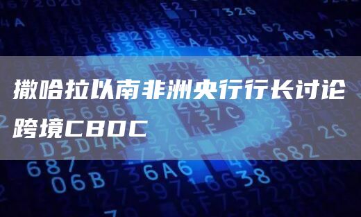 撒哈拉以南非洲央行行长讨论跨境CBDC1